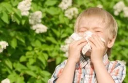 Аллергические проявления у детей в весенний период